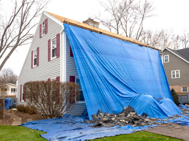 Best Storm Damage Siding Repair  in Newport, AR